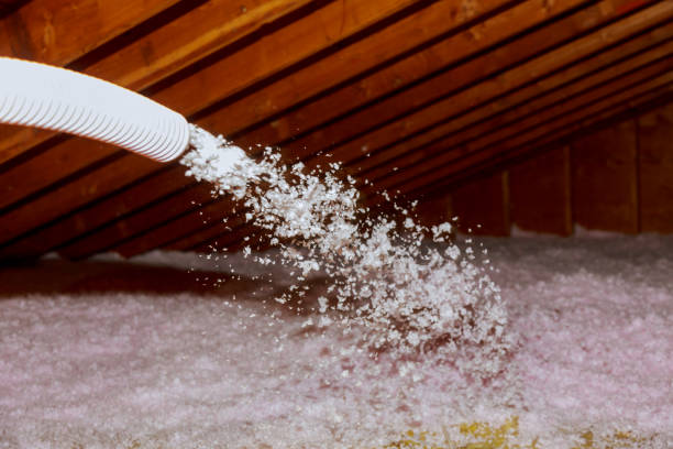 Best Eco-Friendly Insulation in Wamac, IL